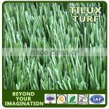 America Football Grass thumbnail-3