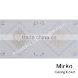 Ceiling Panel for Indoor Decoration