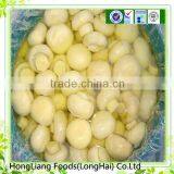 White Whole Mushroom in Conserve thumbnail-1