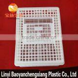 Plastic Transportation Cage for Transport Chicken Duck Birds Cails Quail Pigeon Rabbit Turkey thumbnail-6