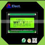 4004 COB Lcd Module Display, Yellow Green Graghic STN Lcd Screen