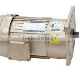 Vertical AC Asynchronous Motor WITH Gear Reducer thumbnail-1