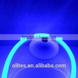 High Quality Product CE ROHS Waterproof LED Light Christmas/Holiday Lights