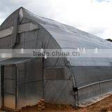 Greenhouse Film thumbnail-6