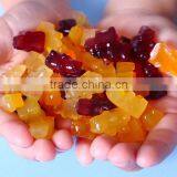 FDA Food Grade Non Stick Bear Jelly Sweet Wholesale Silicone Candy Molds thumbnail-1