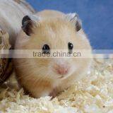 Animal Bed Savings Made by Wood Shaving Machine