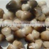 CANNED STRAW MUSHROOM thumbnail-1