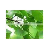 Extract of Ginkgo Biloba Leaf thumbnail-1