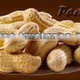 Peanut Java Type thumbnail-2