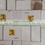 Bienenstock Und Rahmen