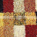 Machine Grinding Cocoa/soybean/sesame/peanut/chili Grinder Mill thumbnail-4