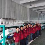 Advanced High Quality Factory Seafood Fish Color Sorter Belt Color Sorting Machine thumbnail-2