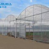 Factory Price BLD001 Plasctic Film Cover Greenhouse for Agricultural and Commercial Use thumbnail-6