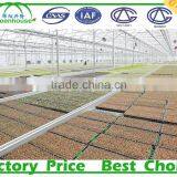 PC Sheet Cover Material and Large Size Tunnel Commercial Greenhouse thumbnail-2