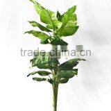 Supply Artificial Scindapsus Bonsai thumbnail-3