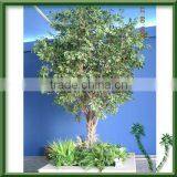 Ficus Tree,plastic Tree,plastic Plant