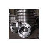 Pipe Flanges thumbnail-1