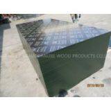 KINGPLUS PLYWOOD,construction,building Plywood thumbnail-3