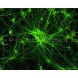 1.4MP CCD Camera MC20-N / MC20-M-N thumbnail-3