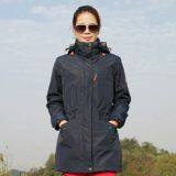 Sportwear thumbnail-2