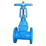 BS5163/GB Ring Stem Gate Valve thumbnail-1