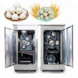 Pastry Dough Machine