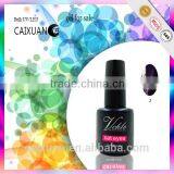 V.chlo Wholesale Gel Color Polish Soak off Cat Eye Gel Polish thumbnail-5