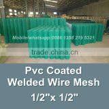 China Factory 1inch Epoxy Coated Welded Wire Mesh