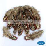 Wholesale 65-70cm Natural Ringneck Pheasant Feathe for Party Decorating, thumbnail-1
