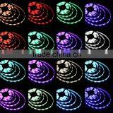 Fullbell professional led supplier led strip smd 5050 full spectrum