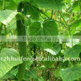 Vegetable Nets/Plant Support Net thumbnail-1