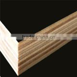 High Quality Waterproof Film Faced Plywood Manufacture