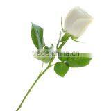 Wholesale Wedding Artificial Rose Flower thumbnail-3