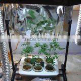 Premium Grow Tent Indoor Garden Darkroom Hydroponic Plant thumbnail-1