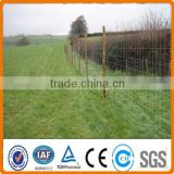 Field fence wire/farm fence/deer fencing wire price                        
                                                Quality Choice