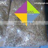 Fine Quality Pine Nuts Kernels - Pakistan Origin thumbnail-4