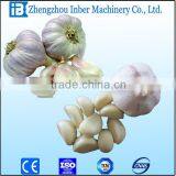 INGS-400 Hot Sale Garlic Separating Machine With ISO thumbnail-4