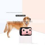 Lifefree Web Service Dog Tracker Gps Collar Waterproof Mini Pet Gps Tracker With Long Battery Life thumbnail-6