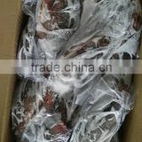 Freezer Gutted and Scaled Tilapia 300/500g thumbnail-6