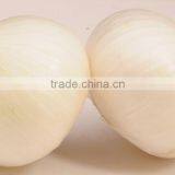 A Grade Indian White Onion Price thumbnail-2