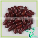 Excellent Quality Dark Red Kidney Beans