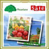 Single Side Glossy Inkjet Photo Paper thumbnail-1