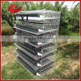 Layer Assemble Quail Cage With Assembling Tools For Sale thumbnail-6