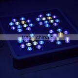 Hydroponic Grow Lights Apollo Led for Indooor Garden thumbnail-2