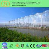 New Design Big Dome Tent/vegetable Greenhouse at Low Price thumbnail-1