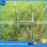 Main Product Round Galvanized Metal Fence Posts / Galvanized Iron Sheet Cost thumbnail-2