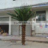 SJ12001204 Plastic Palm Tree/ Big Palm Tree/home Garding Indoor Palm Tree thumbnail-1