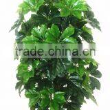 China Hot Sale Evergreen Fake Money Tree ,artificial Pachira thumbnail-4