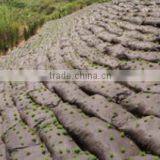 Cheap Nonwoven Geobag for River Bank thumbnail-3