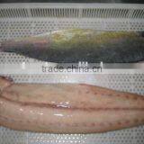 Big Size Frozen Mahi Mahi Fillet thumbnail-1